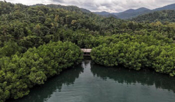 Menhut klaim RI masuki fase baru pasar karbon lewat SRUK dan kredit 30 juta ton CO2e, meski transaksi IDXCarbon masih kalah jauh dari Eropa-China.